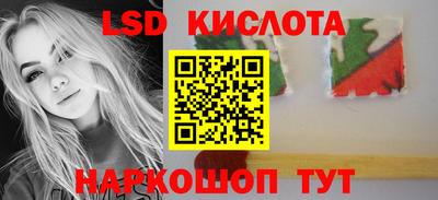 стафф Можга