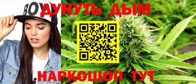 стафф Можга
