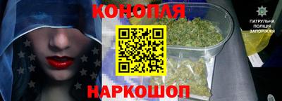 стафф Можга
