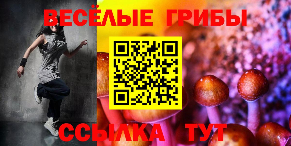 Псилоцибиновые грибы Cubensis  Галлюциногенные грибы мицелий  Хасавюрт  Вход с VPN 