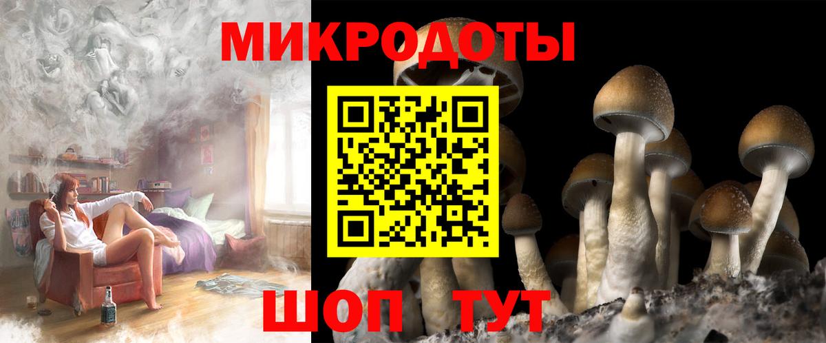 Галлюциногенные грибы ЛСД Хасавюрт
